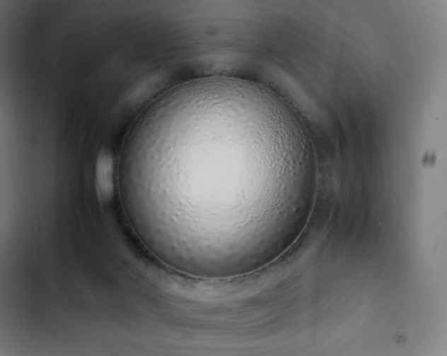 X0000103330022200809051221