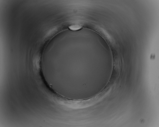 X0000103330023200809051221