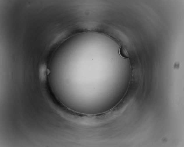 X0000103330024200809051221