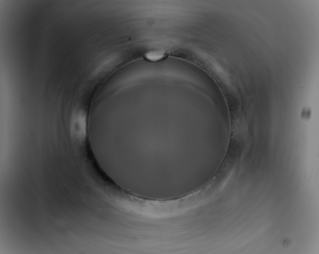 X0000103330027200809051221