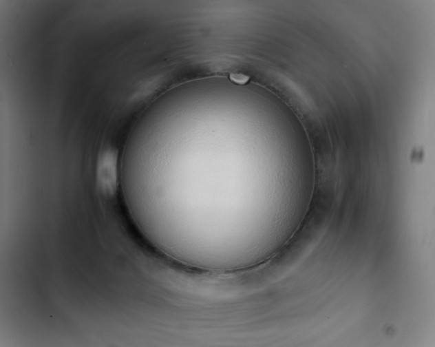 X0000103330028200809051221