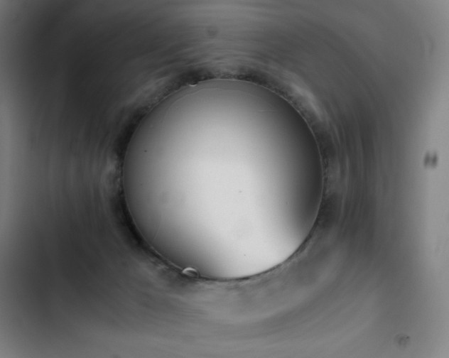 X0000103330029200809051221