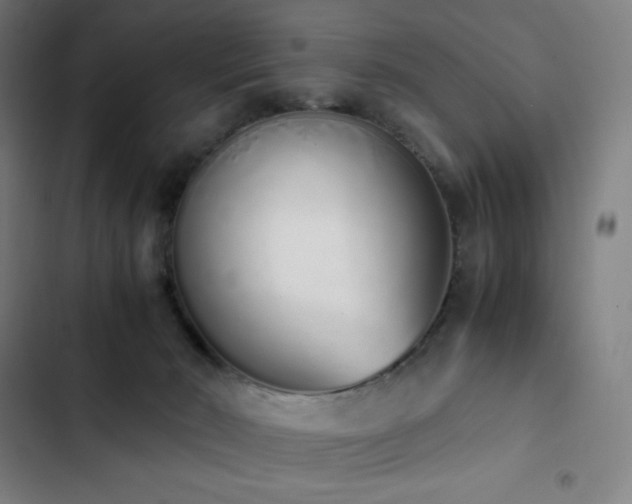 X0000103330030200809051221