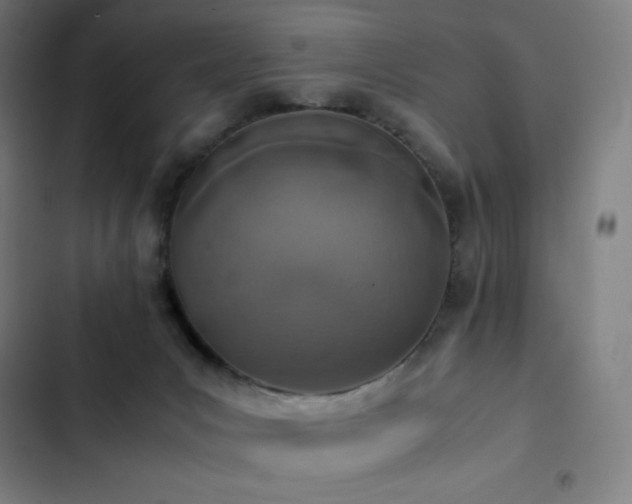 X0000103330031200809051221