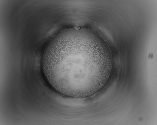 X0000103330032200809051221