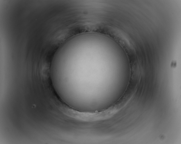 X0000103330034200809051221