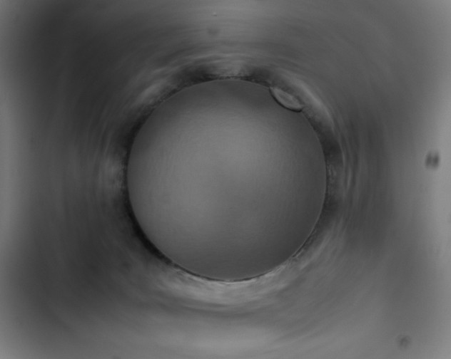 X0000103330035200809051221