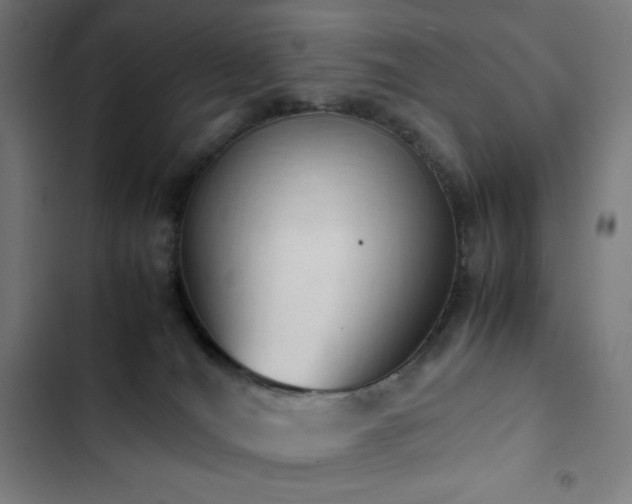 X0000103330036200809051221