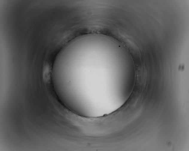 X0000103330038200809051221