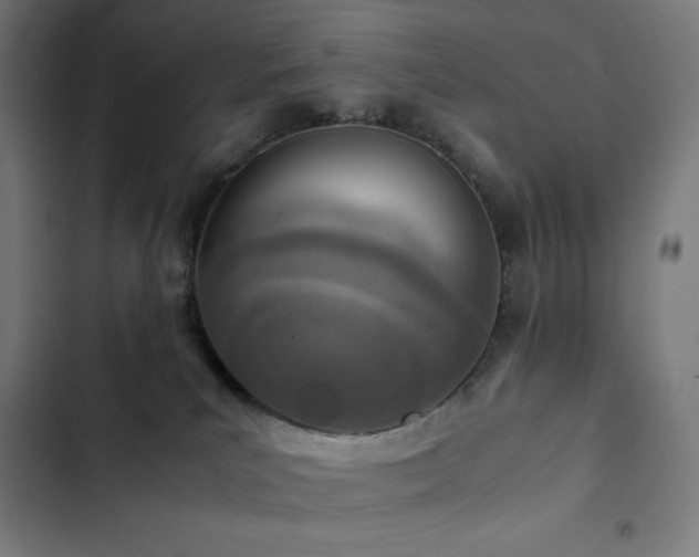 X0000103330039200809051221