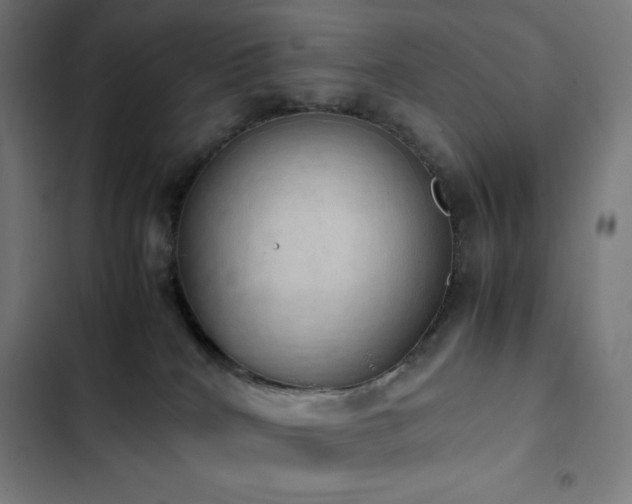 X0000103330040200809051221