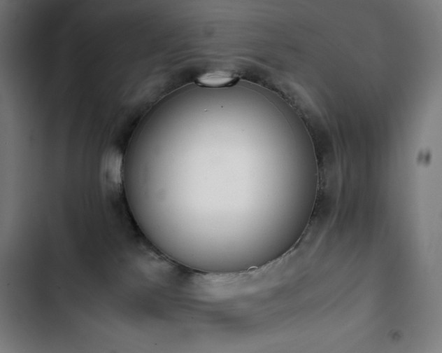 X0000103330041200809051221