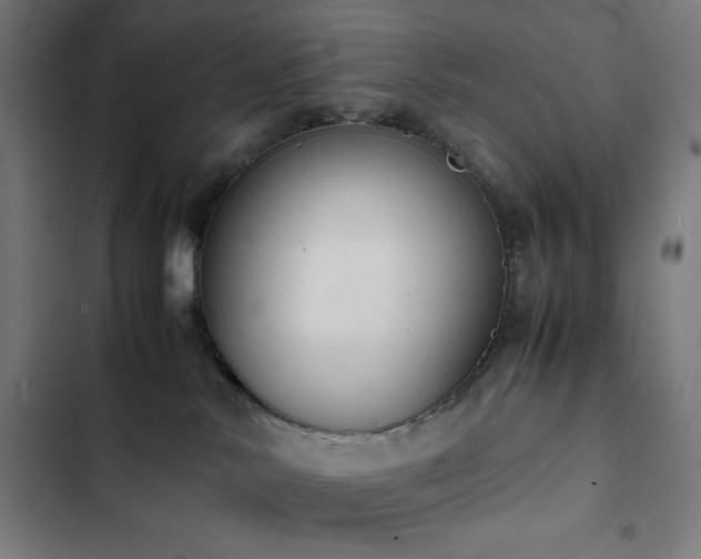 X0000103330042200809051221