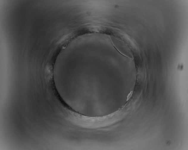 X0000103330043200809051221