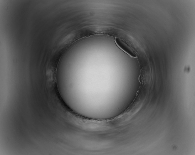 X0000103330044200809051221