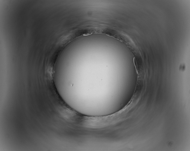 X0000103330045200809051221