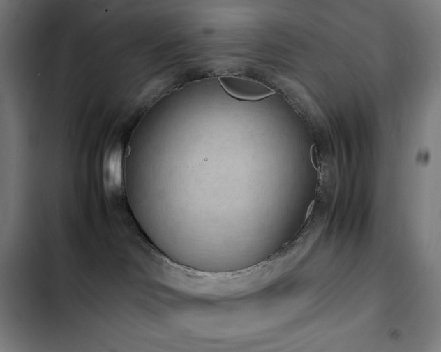 X0000103330046200809051220