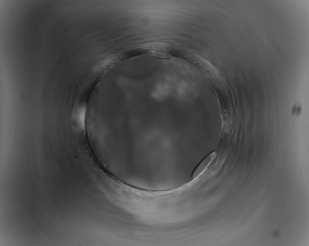 X0000103330047200809051220