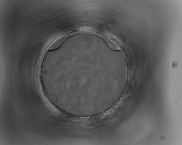 X0000103330049200809051220