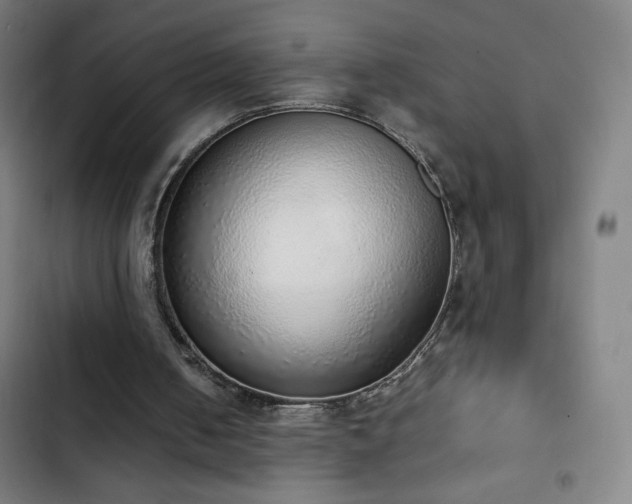 X0000103330050200809051220