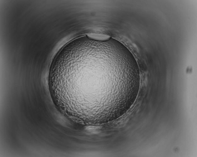 X0000103330051200809051220