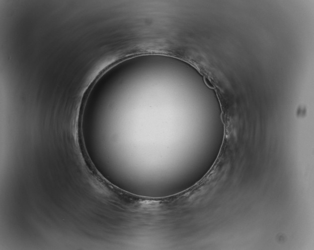 X0000103330052200809051220