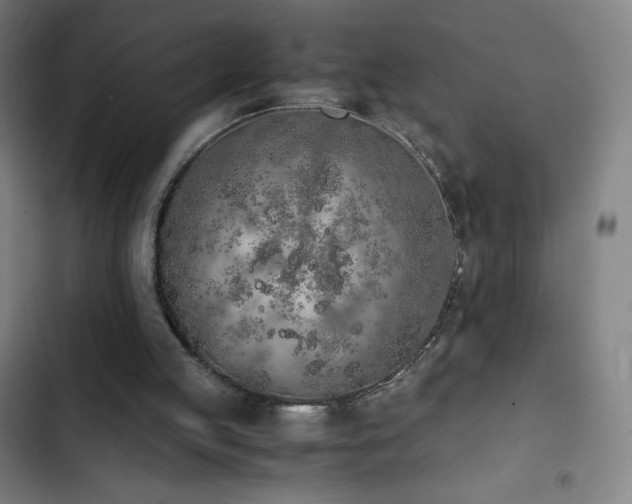 X0000103330053200809051220