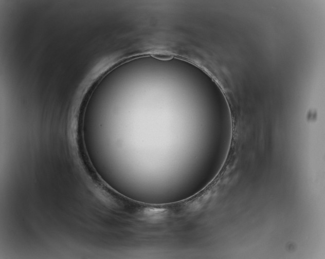 X0000103330055200809051220