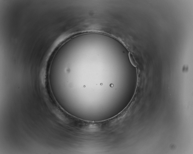 X0000103330056200809051220