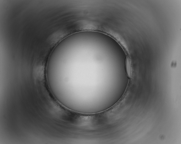 X0000103330057200809051220