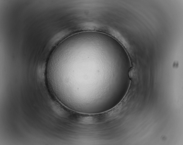 X0000103330058200809051220