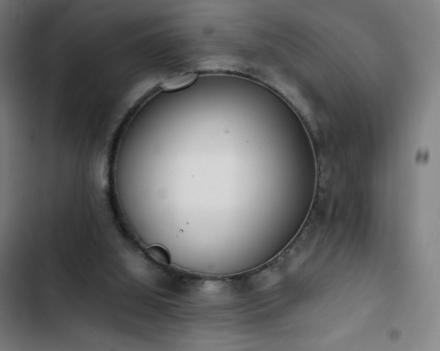 X0000103330060200809051220