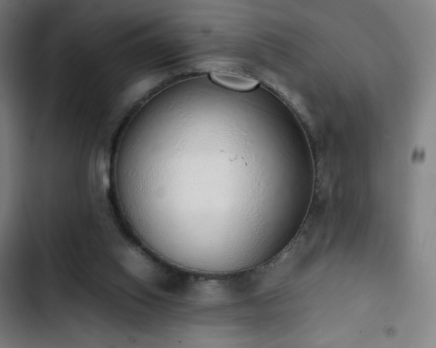 X0000103330062200809051220