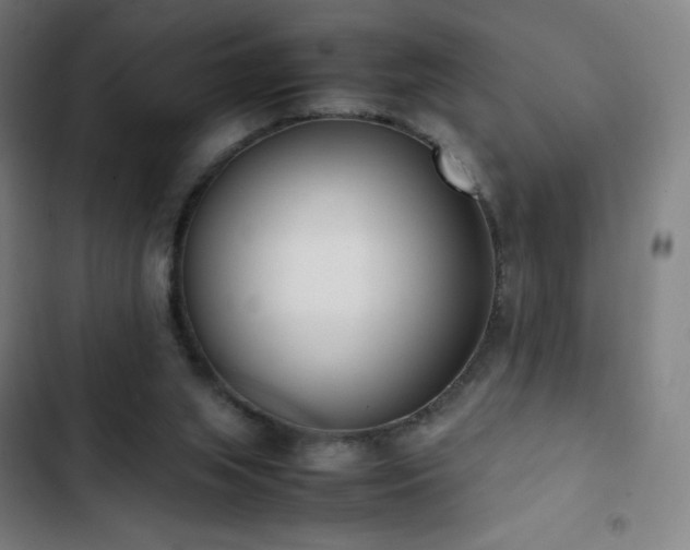 X0000103330063200809051220