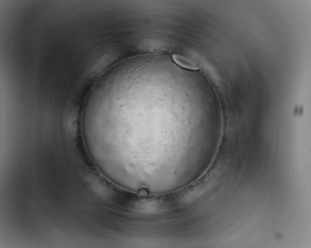 X0000103330065200809051220