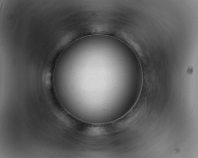 X0000103330067200809051220