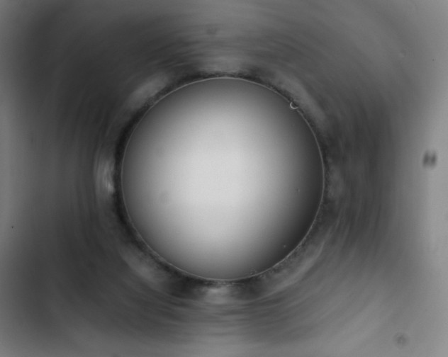 X0000103330068200809051220