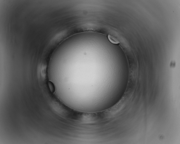 X0000103330070200809051220