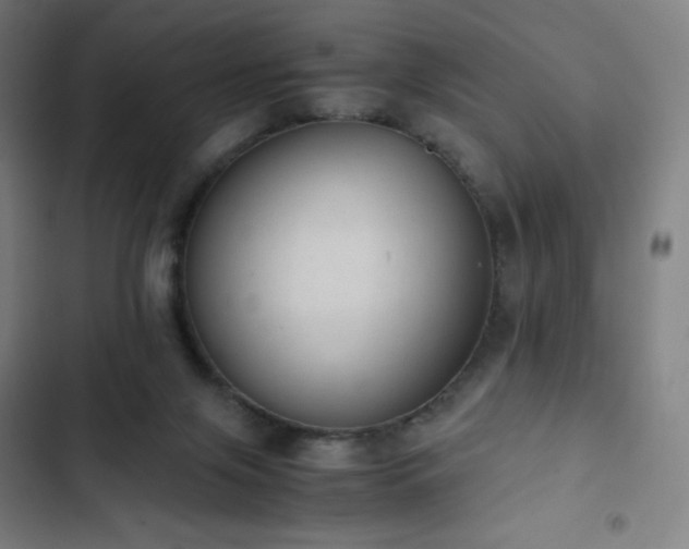 X0000103330071200809051220