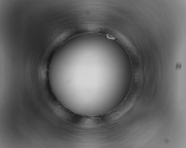 X0000103330072200809051220