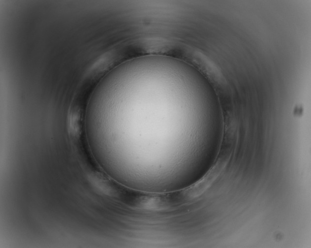 X0000103330074200809051220