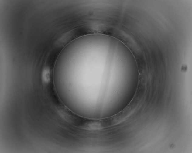 X0000103330075200809051220