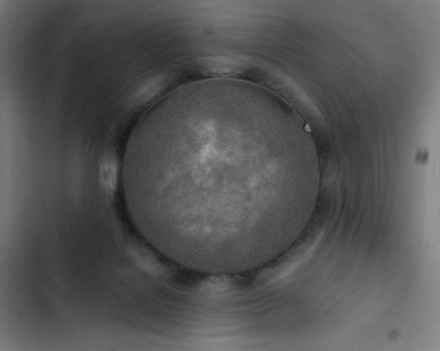 X0000103330076200809051220