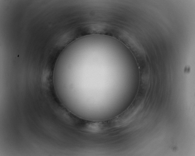 X0000103330079200809051220