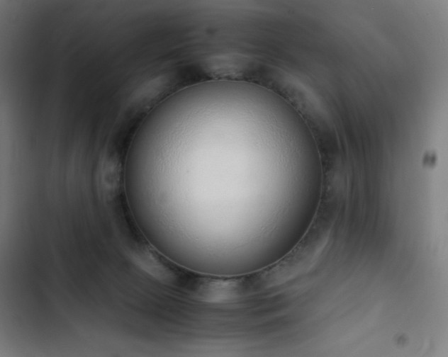 X0000103330081200809051220