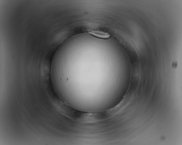 X0000103330082200809051220