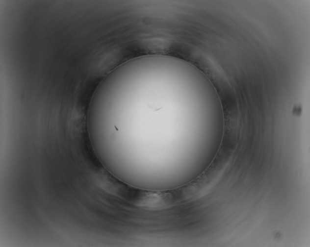 X0000103330083200809051220