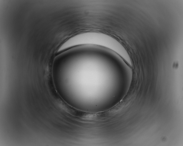 X0000103330084200809051220