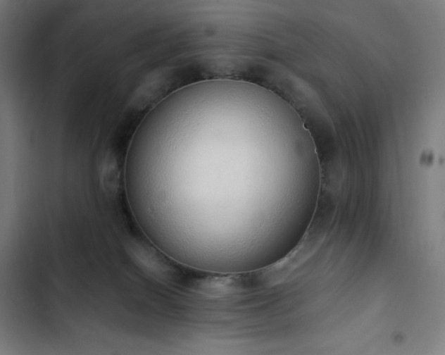 X0000103330086200809051220