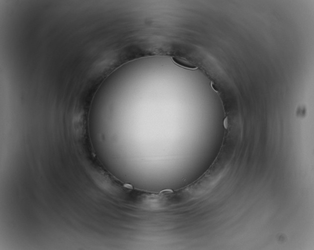 X0000103330088200809051220